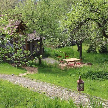 Ferienwohnung Koppelblick Pfarrweisach المظهر الخارجي الصورة